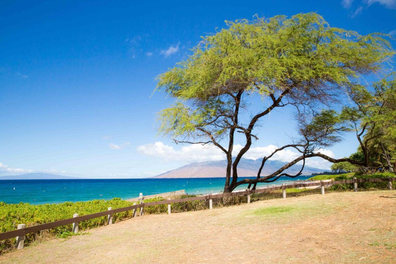 维雷亚Hale Kamaole 207别墅 外观 照片