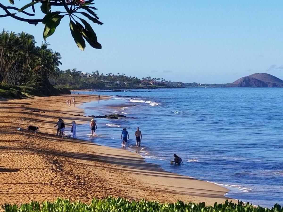 维雷亚Hale Kamaole 207别墅 外观 照片