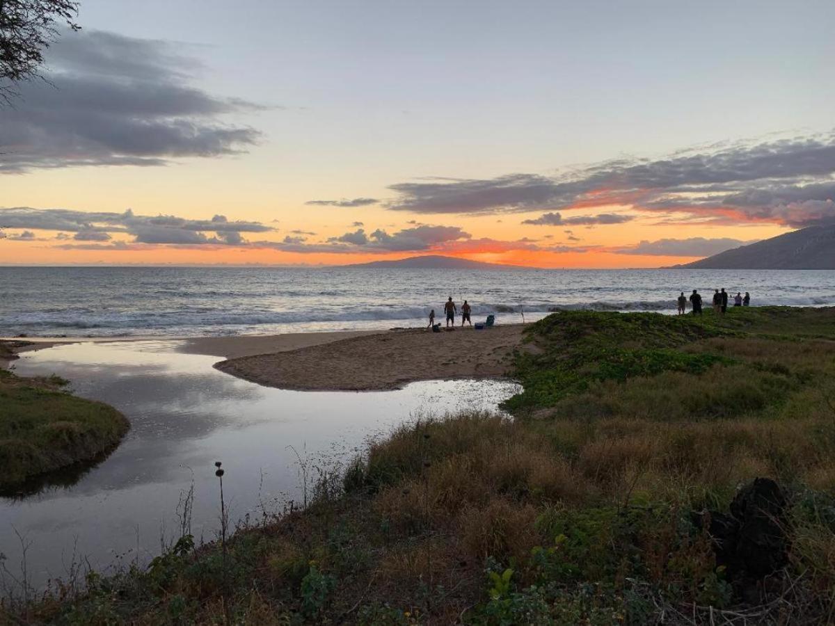 维雷亚Hale Kamaole 207别墅 外观 照片